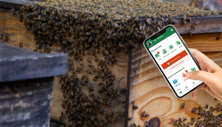 ATER digital para apicultores ManejeBem