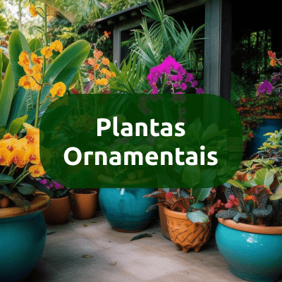 Plantas Ornamentais