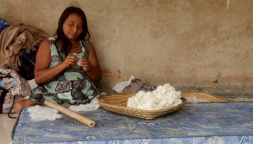 Amazônia Jordão: Tradição e Tecnologia Transformando o Futuro ManejeBem